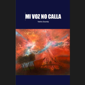 portada del libro negra con pintura en acrilico de colores anaranjados y rojos